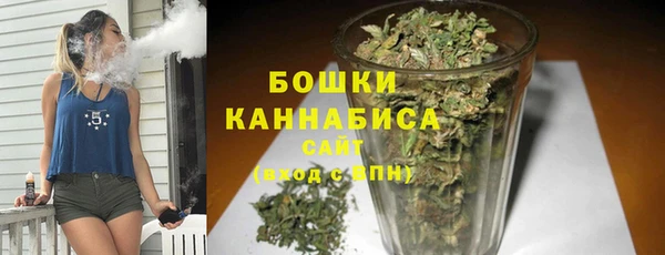 прущие грибы Баксан