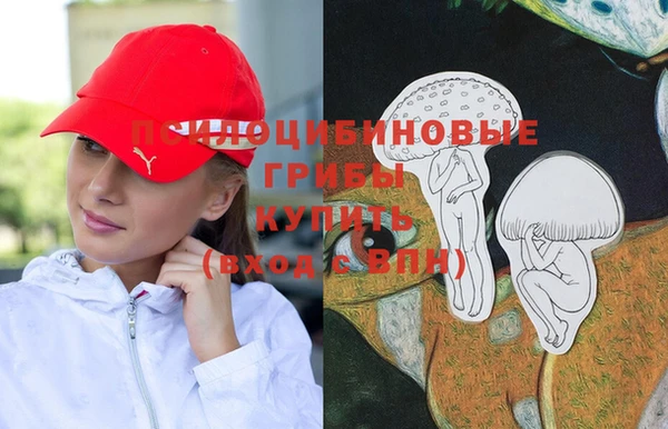 прущие грибы Баксан