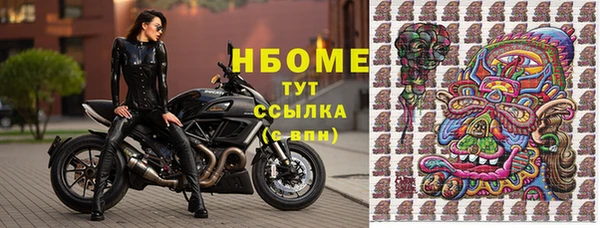 прущие грибы Баксан