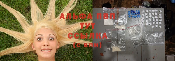 прущие грибы Баксан