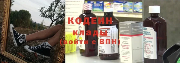 прущие грибы Баксан