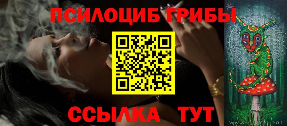 Псилоцибиновые грибы GOLDEN TEACHER  Вход с VPN  Бор  Галлюциногенные грибы MAGIC MUSHROOMS 
