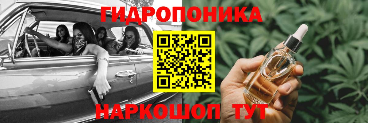 МАРИХУАНА конопля Бор